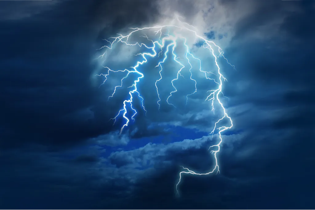Stress Reactions - Fight, Flight, Fawn, Freeze, Capitulate